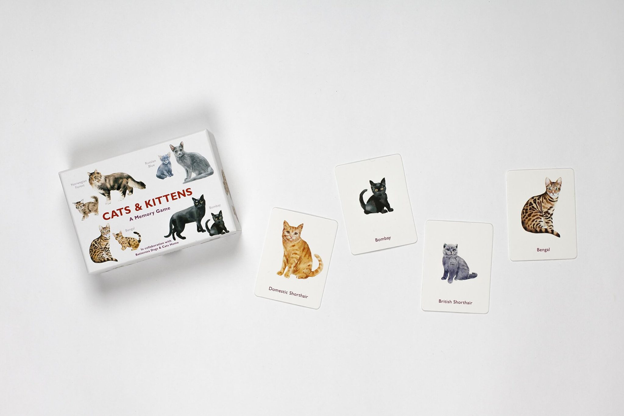 Cats And Kittens Memory Game – Imagine If